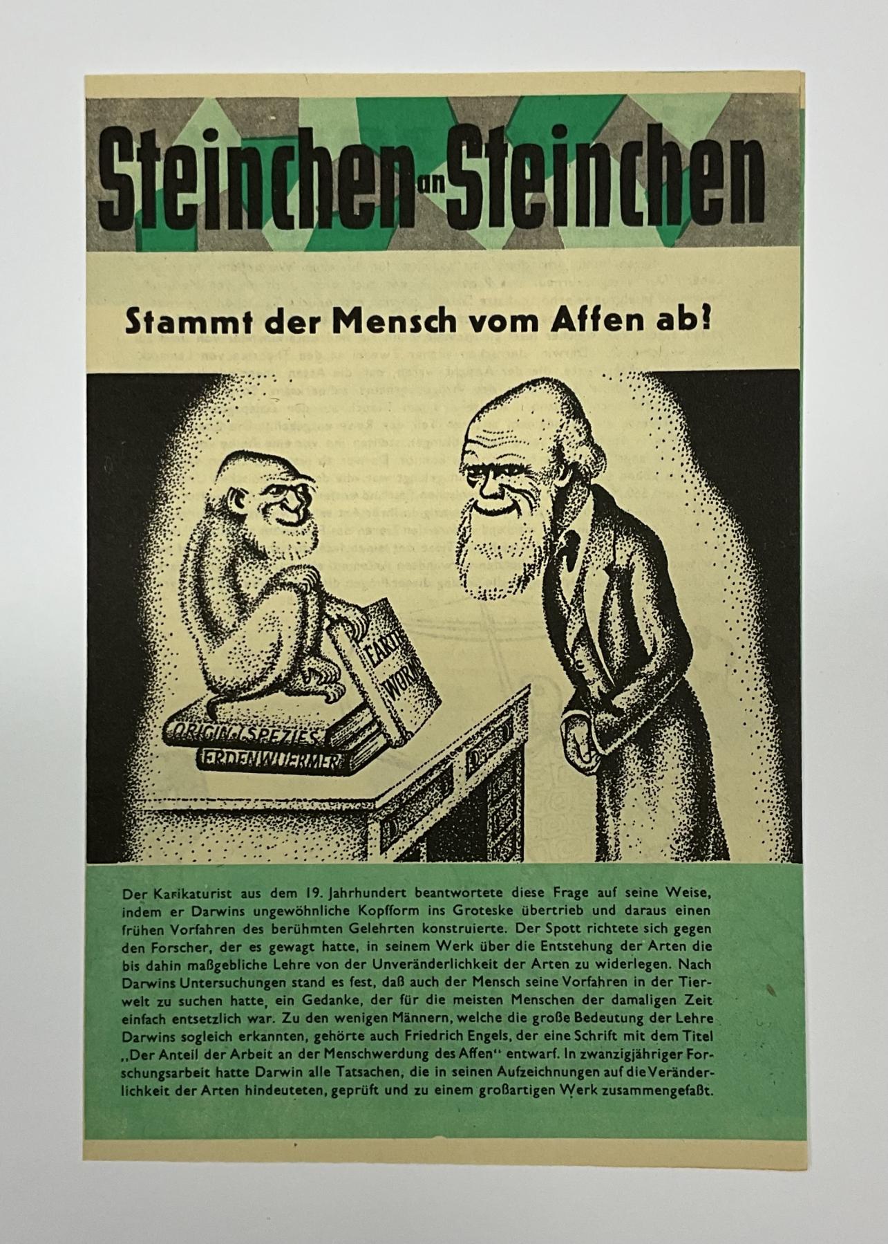 Beilage Digedags Nr. 57 "Stammt der Mensch vom Affen ab?"