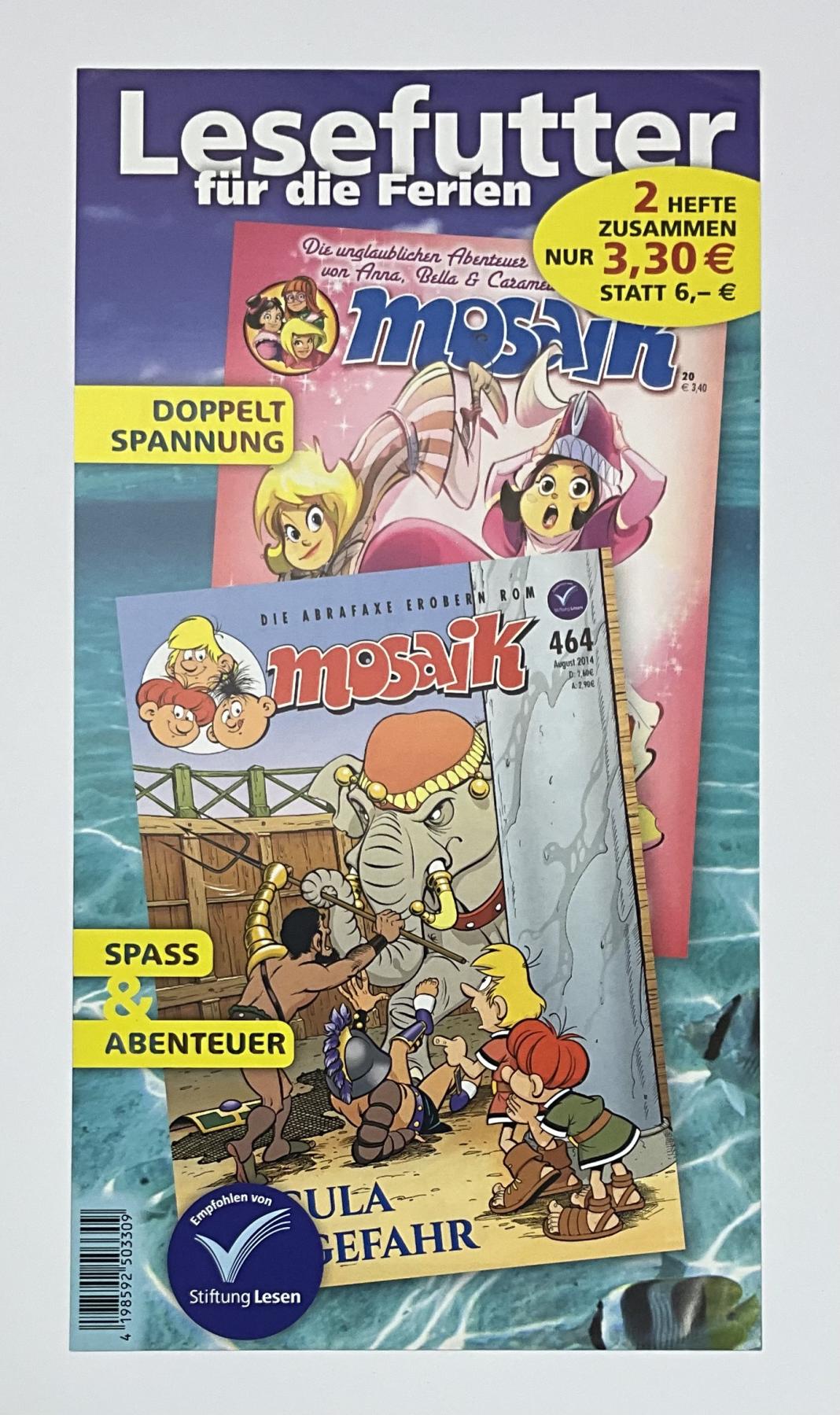 Flyer (15)