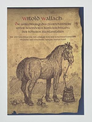 Flyer (17)